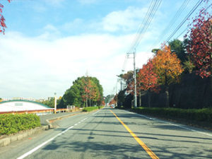 アクセス（八幡方面）６